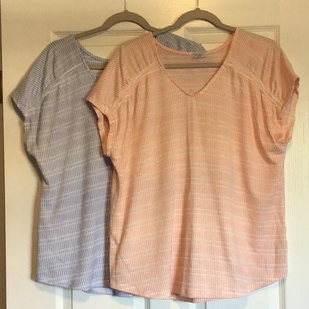 Set of 2 Short Sleeve Shirts